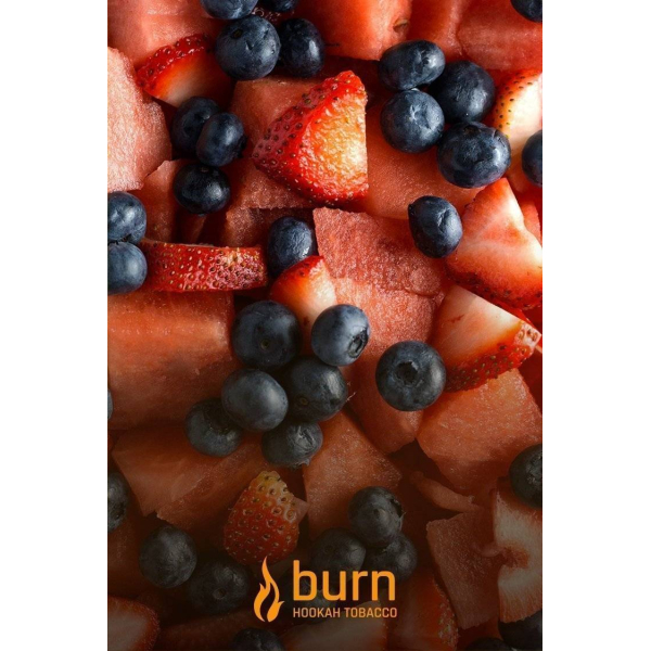 Табак Burn Berried Treasure 100 грамм в Луганске
