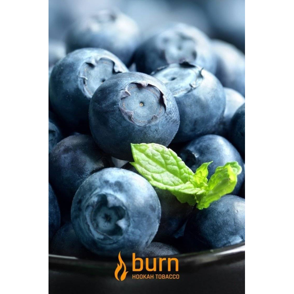 Табак Burn Blueberry Mint 100 грамм в Луганске