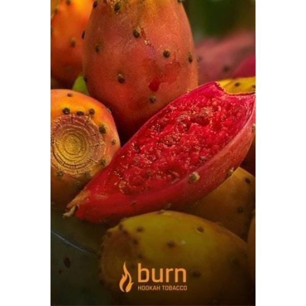 Табак Burn Cactus 100 грамм в Луганске