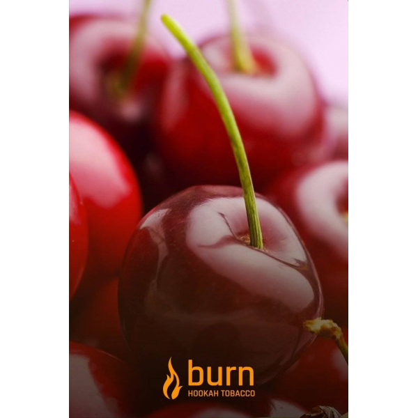 Табак Burn Candy Cherry 100 грамм в Луганске