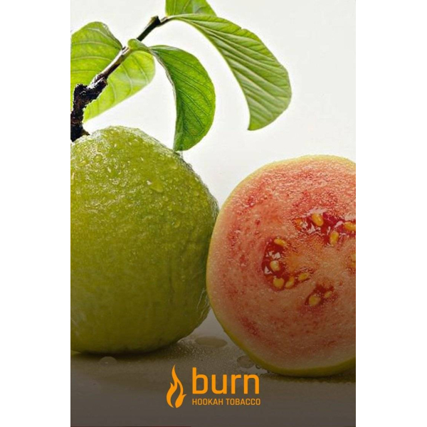 Табак Burn Guava 100 грамм в Луганске