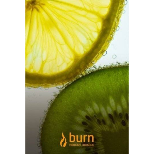 Табак Burn Kiwi Lemon 100 грамм в Луганске