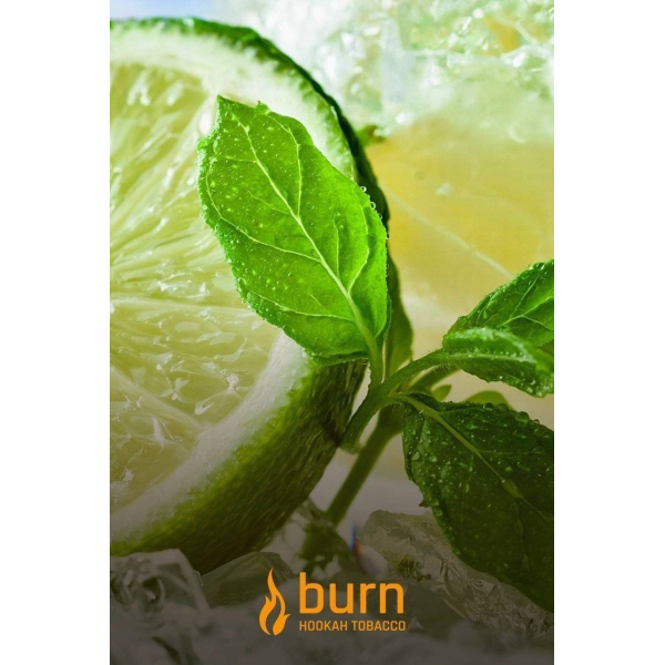 Табак Burn Lemon Mint 100 грамм в Луганске