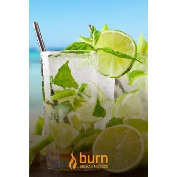 Табак Burn Mojito 100 грамм в Луганске