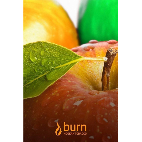 Табак Burn Three Apples 100 грамм в Луганске