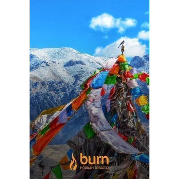 Табак Burn Tibet 100 грамм в Луганске