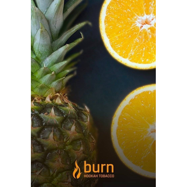 Табак Burn White Night 100 грамм в Луганске