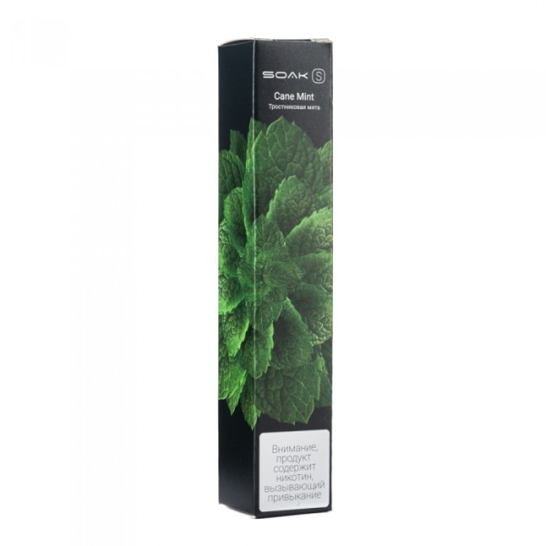 SOAK S Cane Mint (Тростниковая мята), 2500 тяг в Луганске