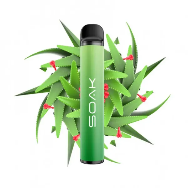 SOAK X Aloe Vera (Алое Вера), 1500 тяг в Луганске