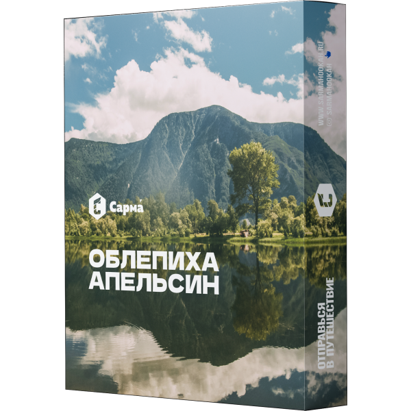 Табак Сарма Облепиха Апельсин 25 гр в Луганске