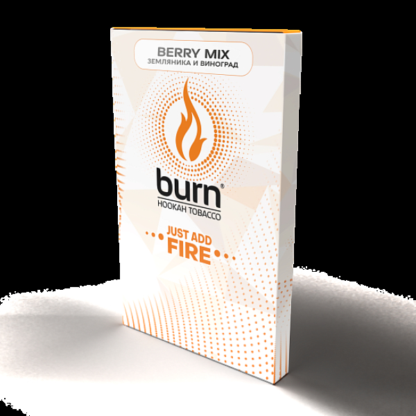 Табак Burn Berry Mix  100 грамм в Луганске